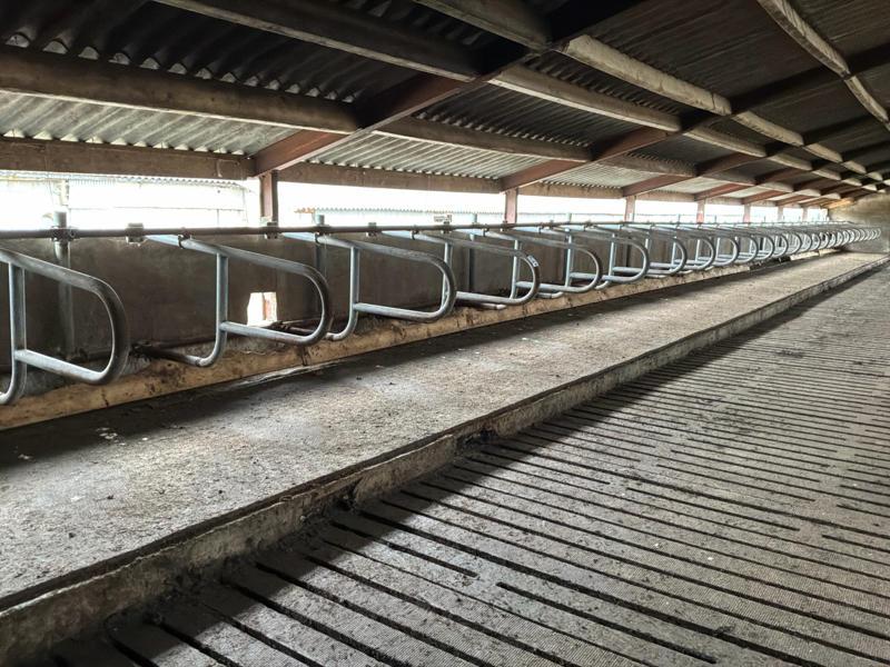 Ligboxen, Dieren en Toebehoren, Stalling en Weidegang