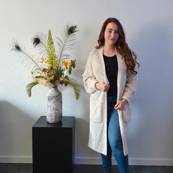 Lang Vest Beige, Kleding | Dames, Truien en Vesten, Nieuw, Maat 38/40 (M), Beige, Verzenden