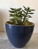 vintage blauwe geglazuurde bloempotten diverse jaren ‘50 pot, 25 tot 40 cm, Rond, Binnen, Ophalen of Verzenden