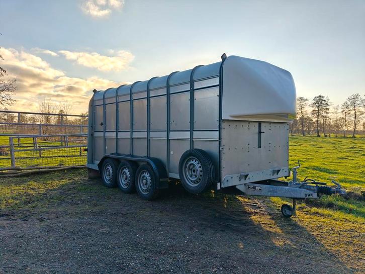 IFOR Williams Veetrailer 3-asser Veewagen Tridemas - 3500kg, Zakelijke goederen, Agrarisch | Werktuigen, Transport, Ophalen