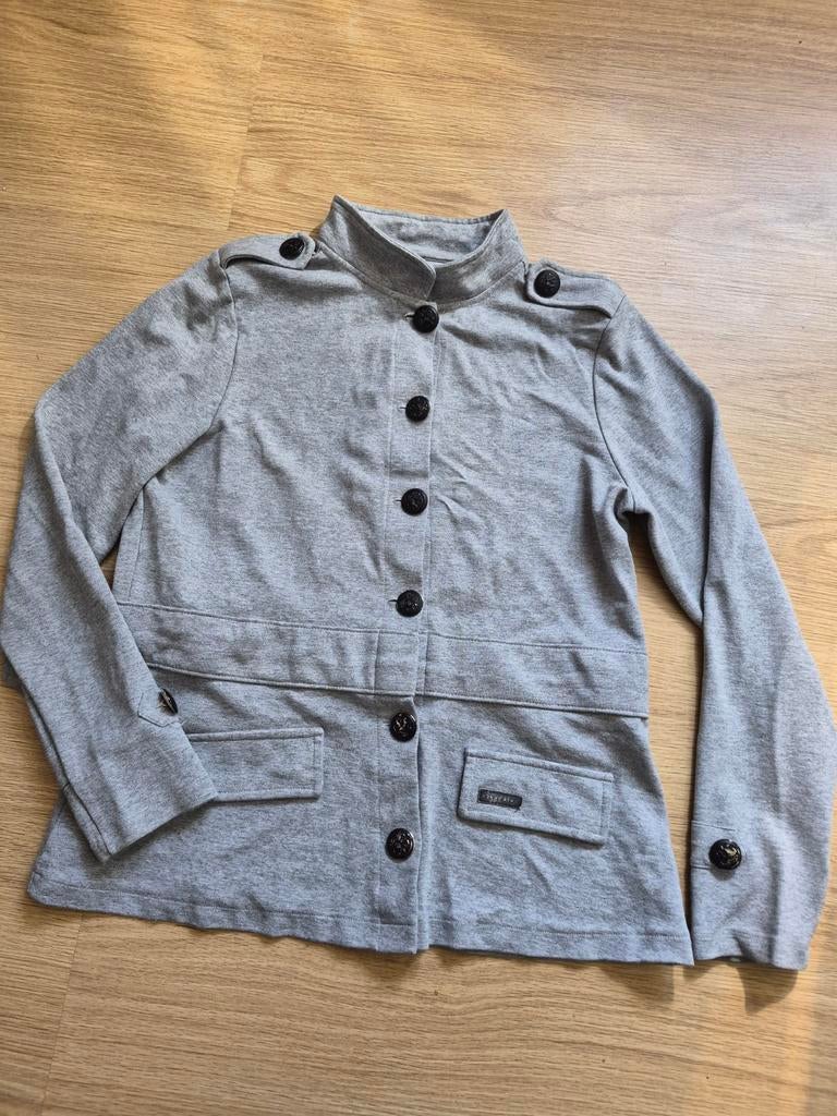 Grijs ZOSO jasje maat M, Maat 38/40 (M), Ophalen of Verzenden, Grijs, Gedragen