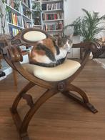 Vintage wooden curule-style accent chair, Ophalen