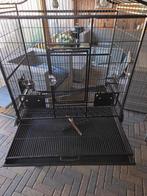 Papagaai kooi, Ophalen of Verzenden