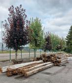 voordelige oude eiken balken, Ophalen, Gebruikt, Eiken, Balk