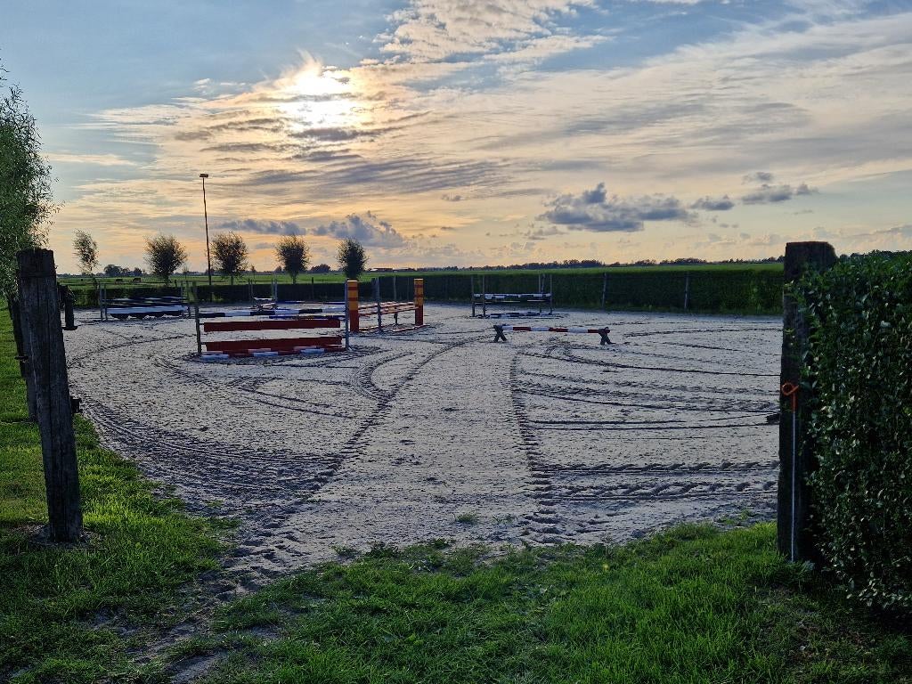 2 stallen vrij op privestal, Dieren en Toebehoren, Stalling