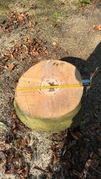 Grote beuken boomstam voor brandhout of decoratie, Tuin en Terras, Haardhout, Minder dan 3 m³, Ophalen, Beukenhout, Stammen