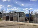 Paardenboxen met schuifwanden en tussenwanden (gebruikt), Dieren en Toebehoren, Stalling, 2 of 3 paarden of pony's