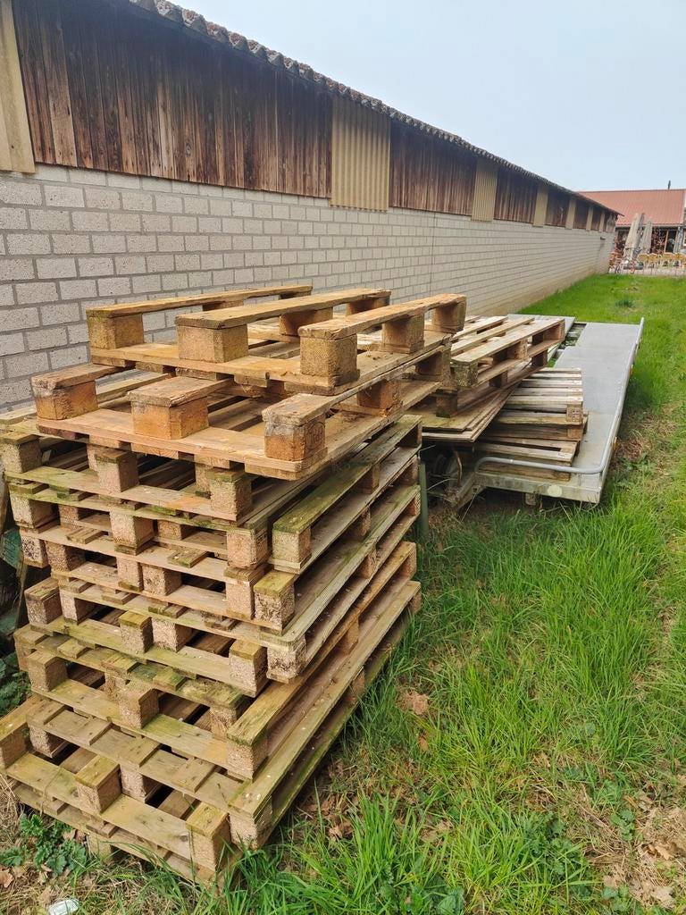 Pallets en een paar dunne platen voor op te stoken., Tuin en Terras, Haardhout, Minder dan 3 m³, Ophalen, Overige houtsoorten
