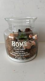 Leuk gevulde glazen stolp, Ophalen of Verzenden, Zo goed als nieuw