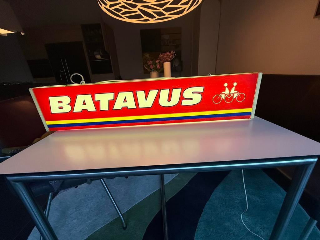 Originele Batavus Lichtbak met Oude TL Buis, Ophalen of Verzenden