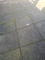 Gratis 70 a 80 stoeptegels 30x30, Tuin en Terras, Tegels en Klinkers, Ophalen of Verzenden, Gebruikt, Beton, Terrastegels