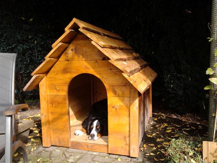 Hondenhok, Dieren en Toebehoren, Hondenhokken, Gebruikt, Hondenhok, 100 cm of meer, 110 cm of meer, Ophalen