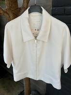 Jasje van Zara gevoerd, Ophalen of Verzenden, Nieuw