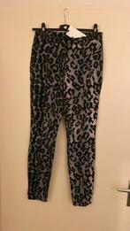 Nieuw mooie broek maat S merk Alix the Label, Overige kleuren, Nieuw, Ophalen of Verzenden, Maat 36 (S)
