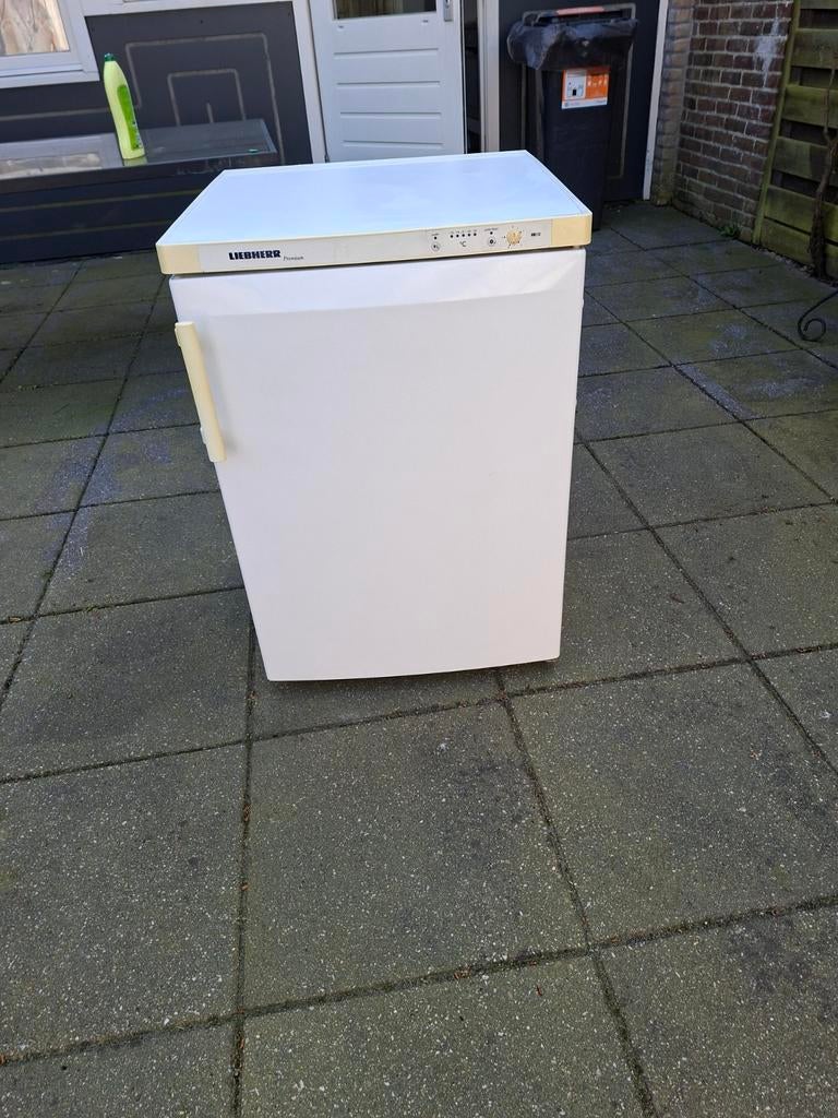 Te koop vrieskast liebherr, Witgoed en Apparatuur, Vriezers en Diepvrieskisten, Ophalen, Zo goed als nieuw, 60 tot 90 cm
