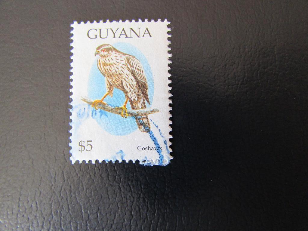 Postzegel Vogel: Havik uit Guyana, Ophalen of Verzenden, Gestempeld, Dier of Natuur