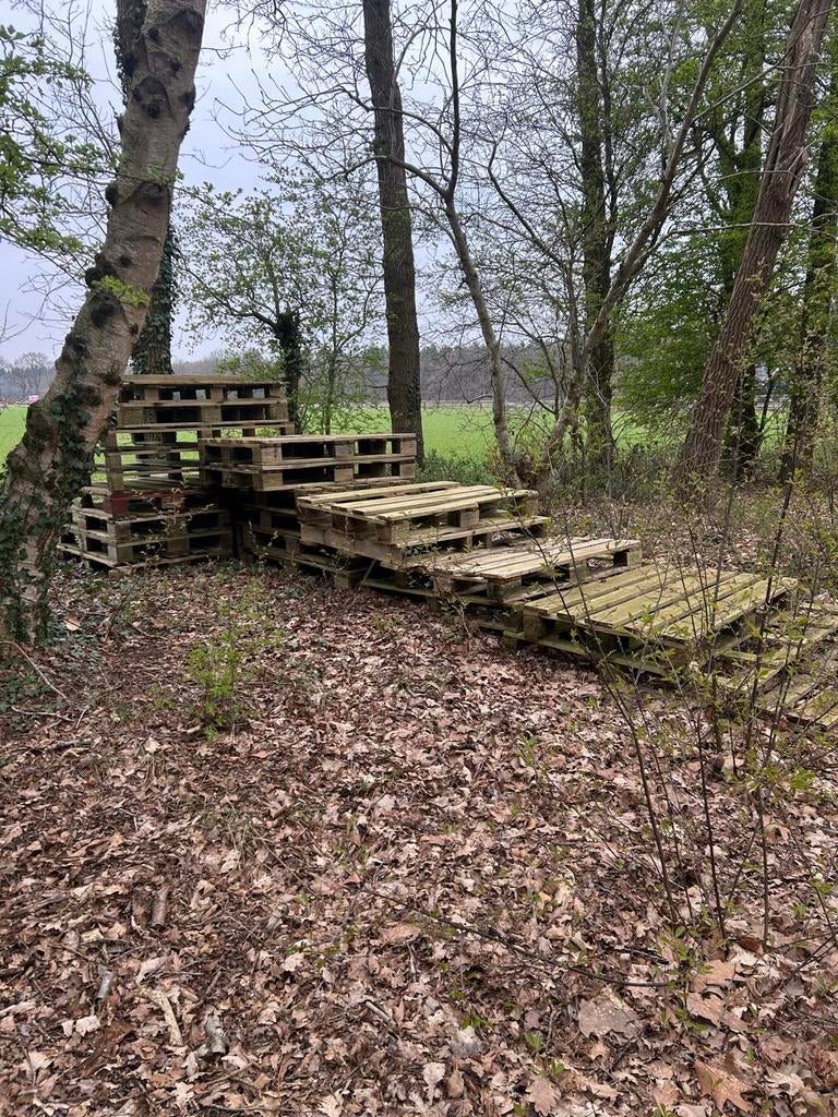 Gratis brandhout. Nog 15 stuks, Ophalen of Verzenden