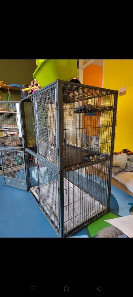 Grote knaagdieren kooi met aantal spullen, Ophalen, Gebruikt