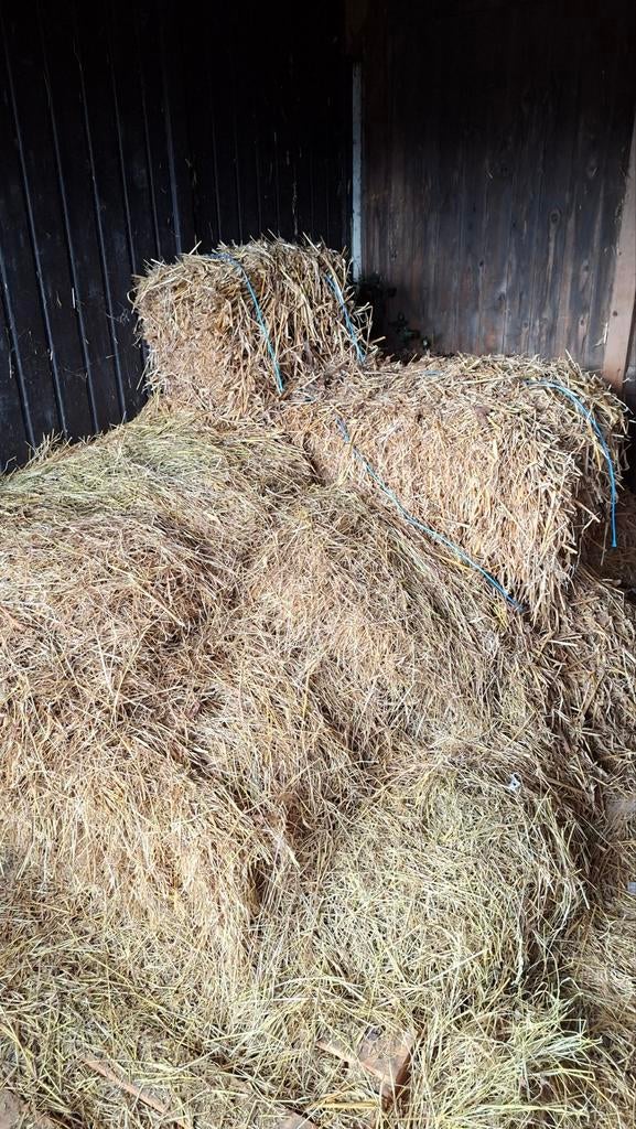 Gratis Hooi en stro, Dieren en Toebehoren, Dierenvoeding, Ophalen, Vee