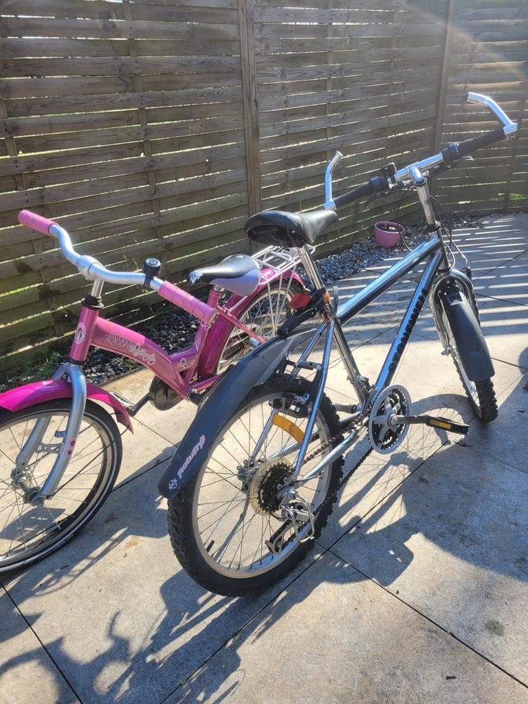 Te koop meisje- en jongensfiets, Gebruikt, 15 tot 20 versnellingen, 55 cm of meer, Ophalen