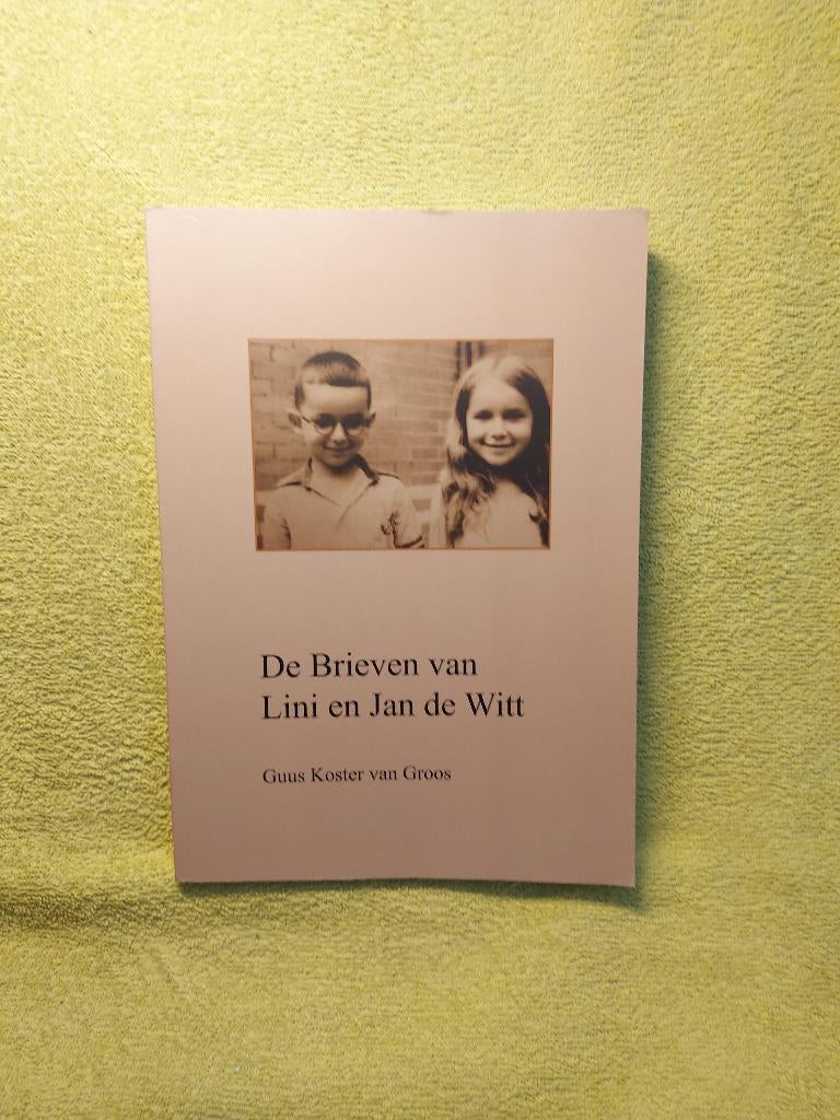 De Brieven van Lini en Jan de Witt - Guus Koster van Groos., Ophalen of Verzenden, 20e eeuw of later, Zo goed als nieuw