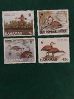 Wwf Bahamas 672-675 vogels 1988 postfris mi 25eu, Ophalen of Verzenden, Dier of Natuur