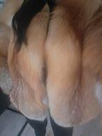 Bontjas roodvos nieuw, Ophalen of Verzenden