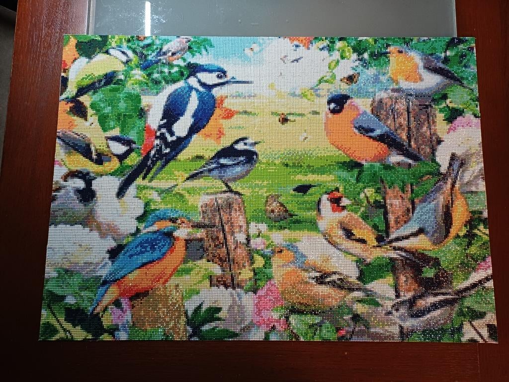 Diamond painting Vogels van Nederland 50 x 70 cm gemaakt, Ophalen, Zo goed als nieuw