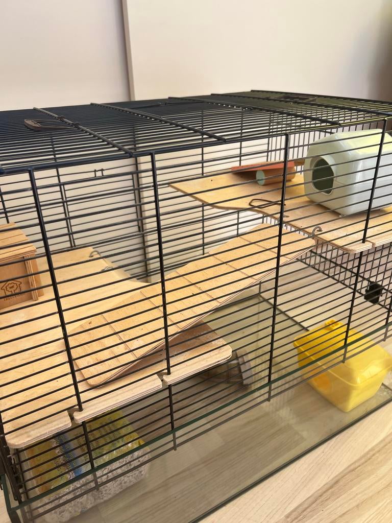 Hamsterkooi, Ophalen, Minder dan 75 cm, Kooi, Minder dan 60 cm