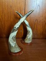 Aziatica buffelhoorn antiek Chinees kunst, Ophalen of Verzenden