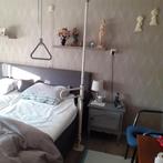 Grijppaal met papegaai en bedrekje/uitstaphulp., Diversen, Ophalen, Gebruikt