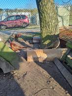 Trio geringde bosfazanten, Dieren en Toebehoren, Meerdere dieren, Overige soorten