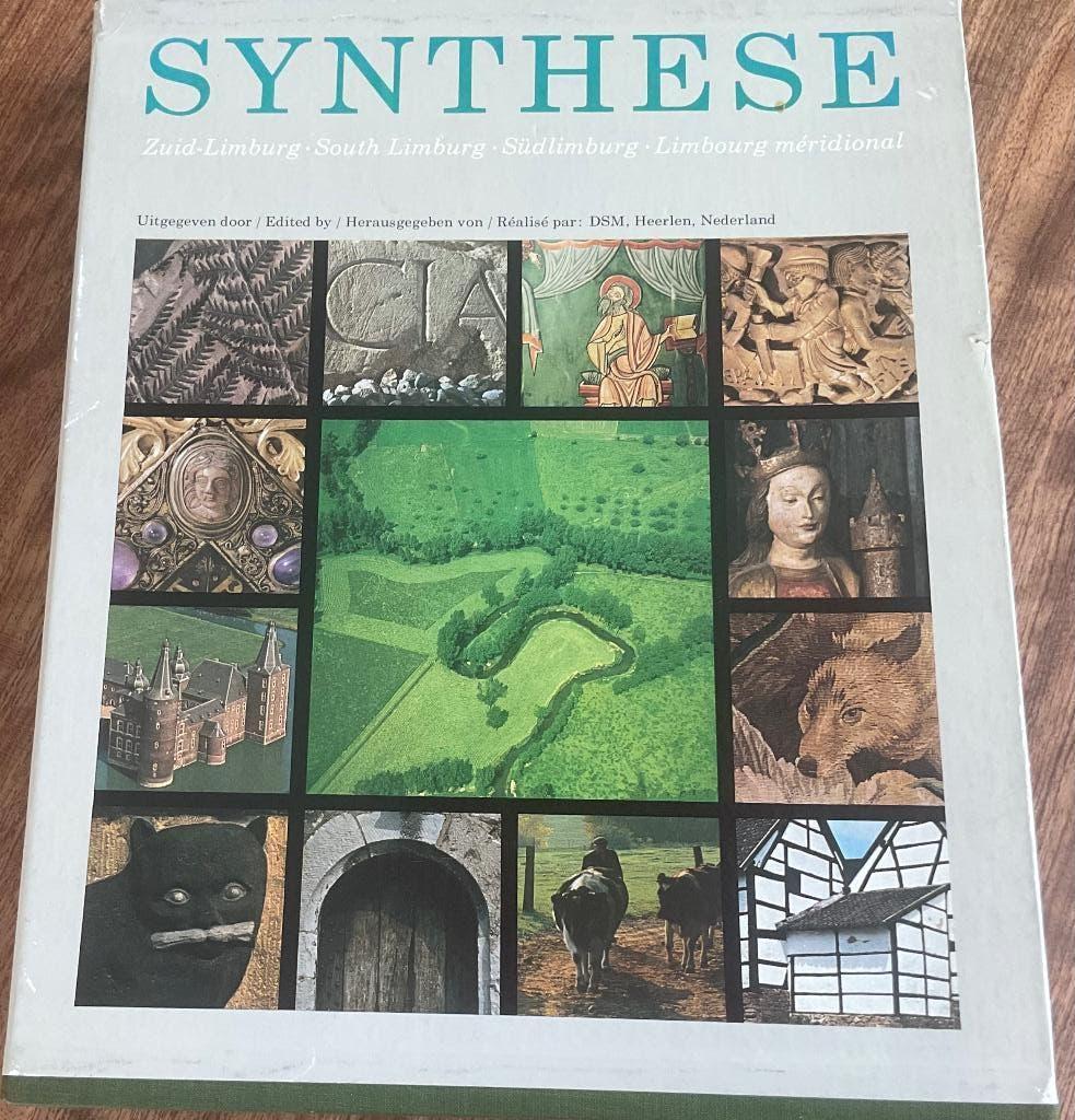 Synthese Zuid-Limburg, regionale kunst en natuurschoon, Ophalen, Zo goed als nieuw, DSM