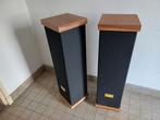 Moa The Pillar luidsprekers, Ophalen of Verzenden, 120 watt of meer, Front, Rear of Stereo speakers, Overige merken