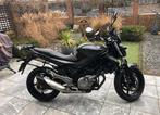 Suzuki Gladius 650 - Naked Bike, Motoren, Motoren | Suzuki, Particulier, Naked bike