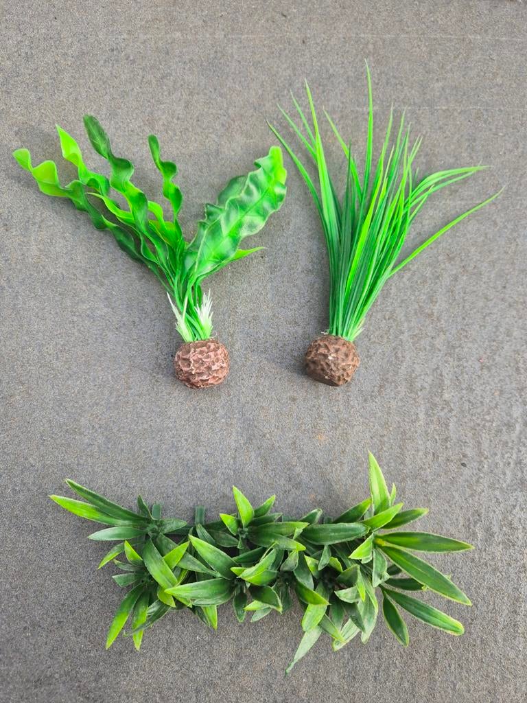 Aquarium planten kunststof, Dieren en Toebehoren, Vis