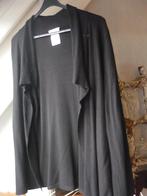 vest, Ophalen of Verzenden, Zo goed als nieuw