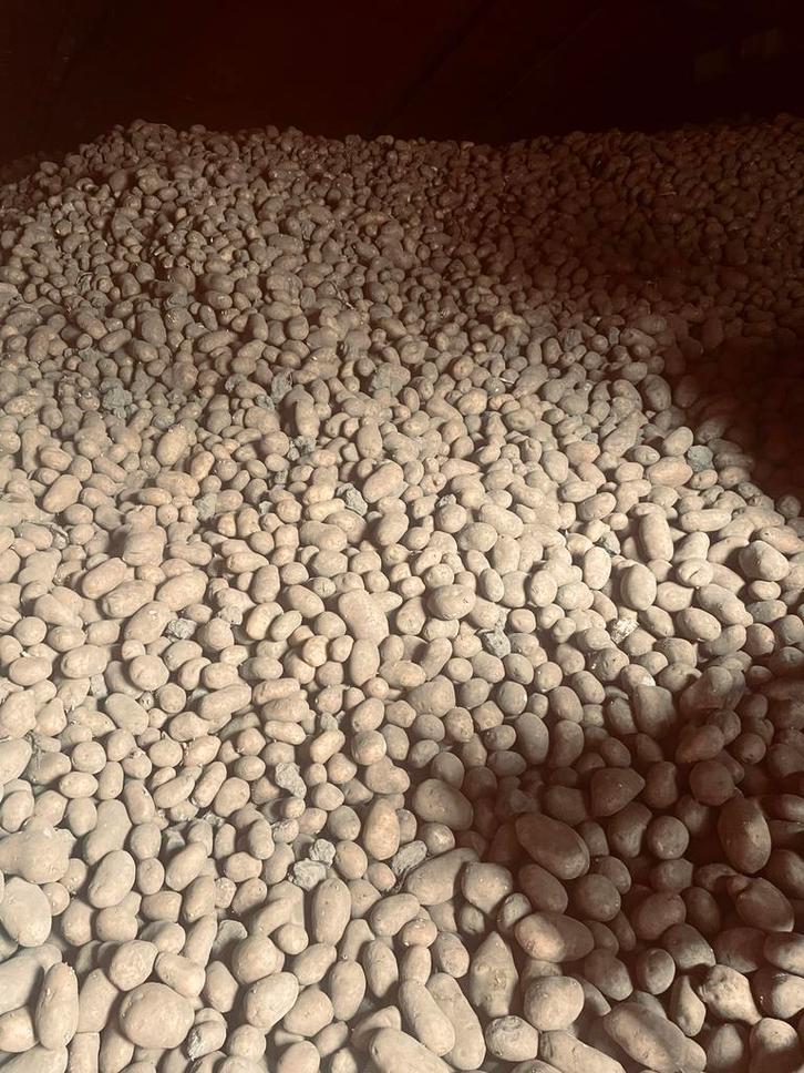 Aardappelen, Diversen, Levensmiddelen, Ophalen