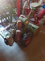 Tuinfrees, Ophalen of Verzenden