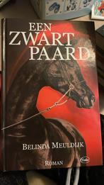 B. Meuldijk - Een zwart paard, B. Meuldijk, Ophalen of Verzenden, Zo goed als nieuw, Nederland