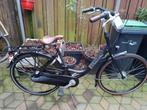 3X Gazelle Bloom D53 7V mat zwart & grijs, Ophalen, 0 zitjes, 53 tot 56 cm, Gebruikt