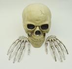 schedel + handen skelet Halloween of decoratie, Ophalen of Verzenden, Zo goed als nieuw, Feestartikel, Halloween of Griezel