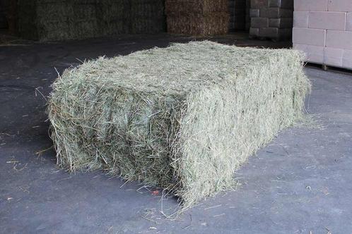 Te koop: hooi- stro grote balen 1e kwaliteit !, Dieren en Toebehoren, Dierenvoeding, Overige soorten, Ophalen