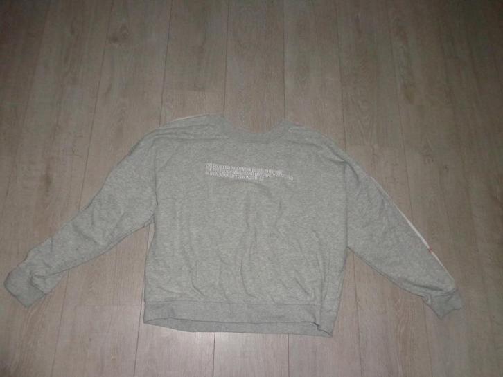 grijze damesweater van Calvin Klein, maat L, Kleding | Dames, Truien en Vesten, Gedragen, Maat 42/44 (L), Grijs, Ophalen of Verzenden