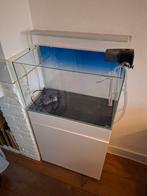 ADA GardenCube 60x30x36 met echt álle toebehoren, Dieren en Toebehoren, Vissen | Aquaria en Toebehoren, Ophalen, Zo goed als nieuw