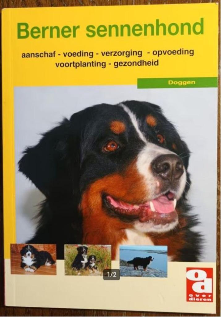 Berner sennenhond, Boeken, Dieren en Huisdieren, Zo goed als nieuw, Honden, Ophalen of Verzenden