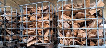 haardhout, brandhout eiken en essen  droog en vers. beschikbaar voor biedingen