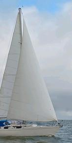 Genua te koop, 30 tot 60 m², 6 meter of meer, Gebruikt, Ophalen of Verzenden