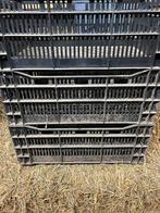 Izgst 6 kratten, Doe-het-zelf en Verbouw, Kratten en Dozen, Ophalen, 40 tot 60 cm, 50 tot 75 cm, Minder dan 35 cm