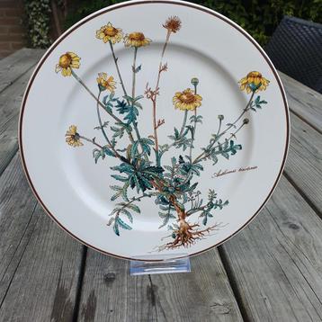 Villeroy & Boch Botanica Bord 1x , 24cm beschikbaar voor biedingen